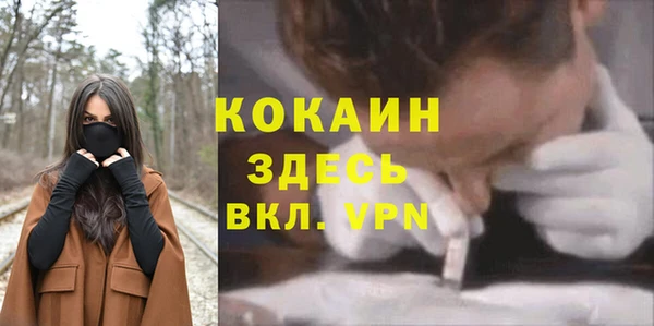 mdpv Сосновоборск