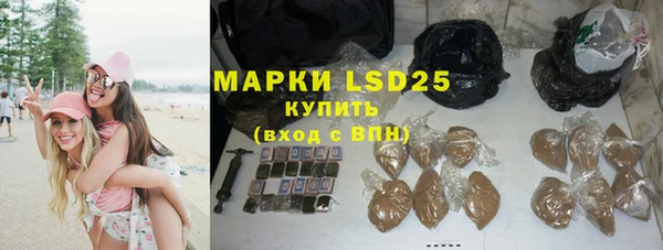 шишки Вязники