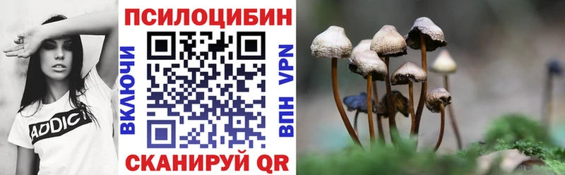 Псилоцибиновые грибы ЛСД Енисейск